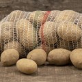 ziemniaki irys 1 kg dostawa Warszawa