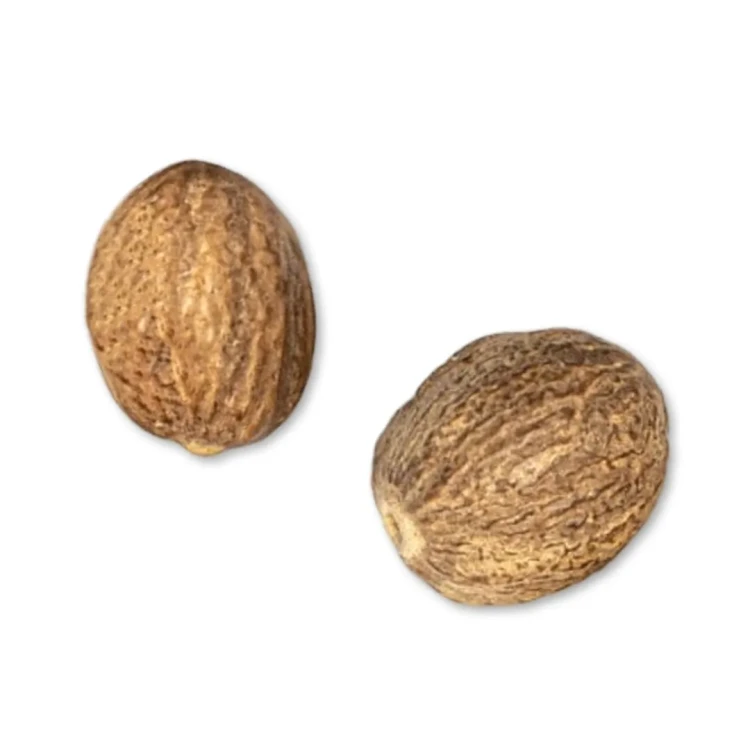 Galka-Muszkatolowa-2szt-Produkt-V02-scaled.jpg.webp