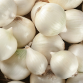 świeża cebula czosnkowa 500 g sklep warzywny Warszawa