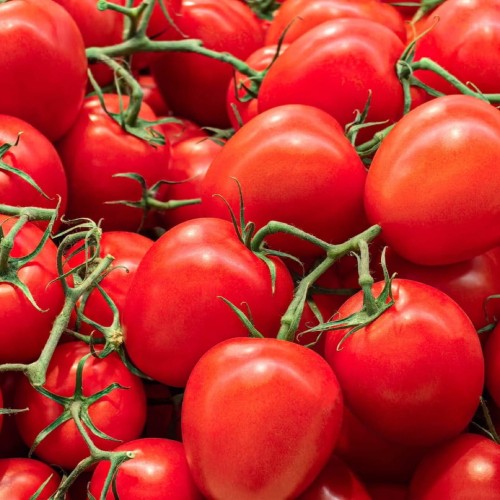 świeże pomidory jajo z hiszpanii 1 kg sklep Warszawa