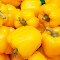 świeża papryka żółta z hiszpanii 500 g sklep Warszawa