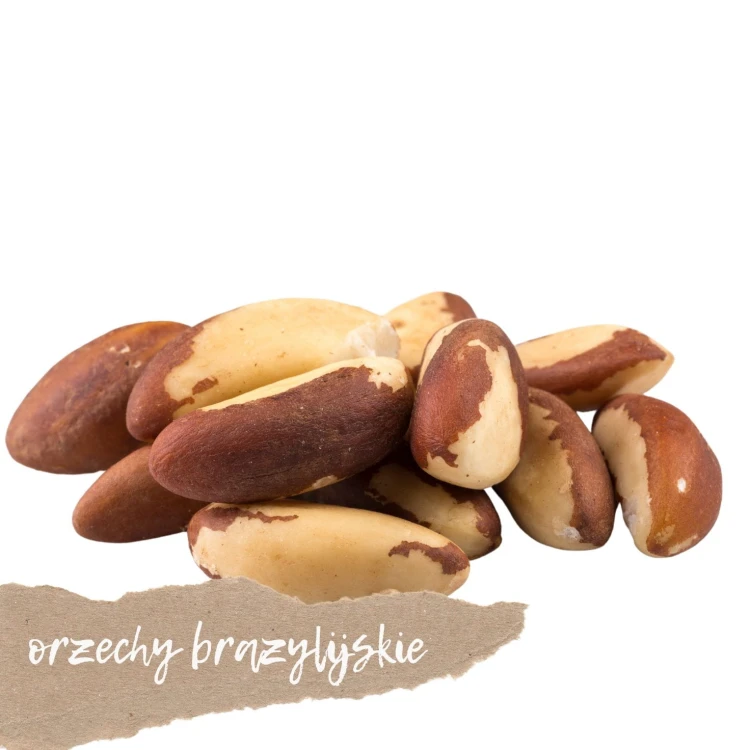 Orzechy brazylijskie