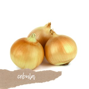 Cebula 1kg
