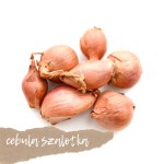 Cebula szalotka 500g