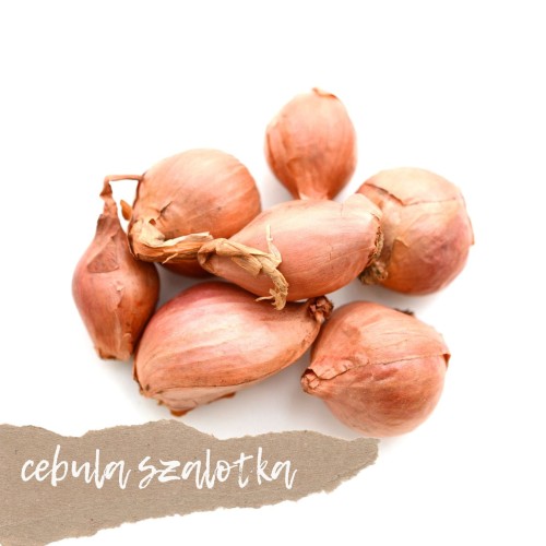 cebula szalotka 250 g świeża Warszawa