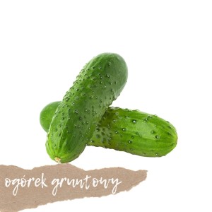  Ogórek drobny (gruntowy) 500g
