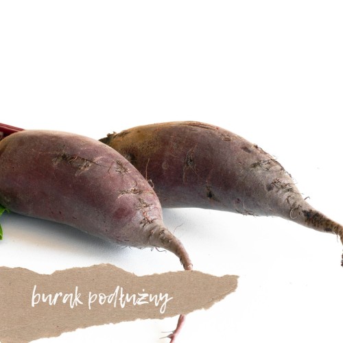 buraki podłużne 1 kg świeże Warszawa
