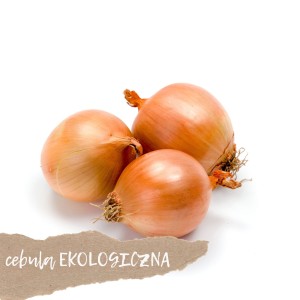 Cebula EKOLOGICZNA 500g