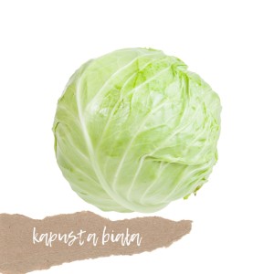 Kapusta biała 1 szt.