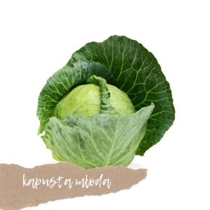 Kapusta młoda 1 szt.