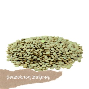 Soczewica zielona 500g