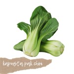 Kapusta Pak Choi 1 szt.