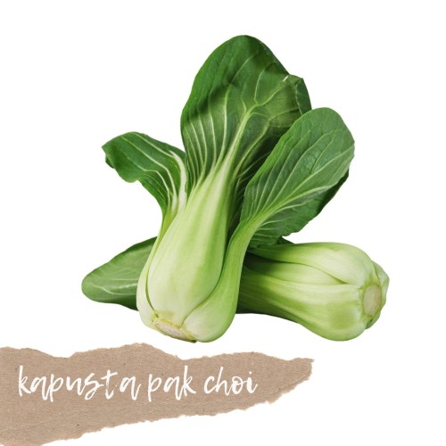 kapusta pak choi 1 szt świeża Warszawa