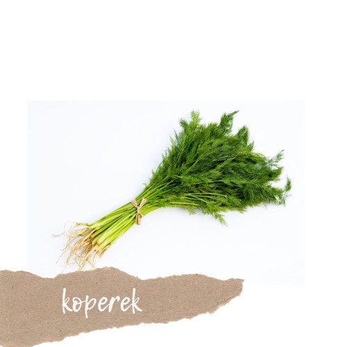 świeży koperek pęczek sklep warzywny Warszawa