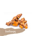 Kurkuma - korzeń 100g