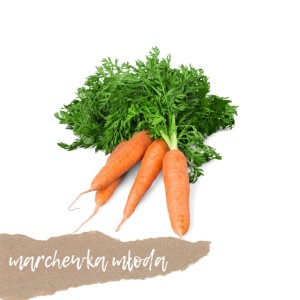 Marchewka młoda z nacią 1 szt.