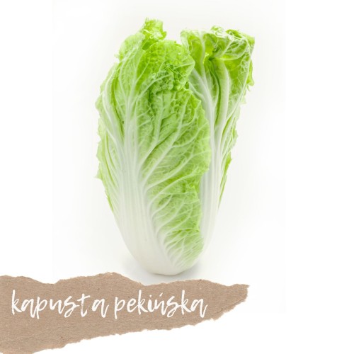 kapusta pekińska 1 szt świeża Warszawa
