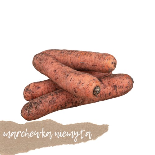 marchew naturalna z ziemią 1 kg na wagę Warszawa