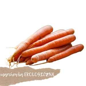 Marchewka EKOLOGICZNA  1kg