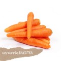 marchew myta karotka 1 kg świeża Warszawa
