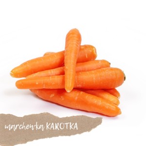 Marchewka odmiana KAROTKA 1 kg