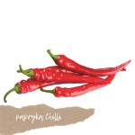 Papryka Chili 5 szt. ok. 100g