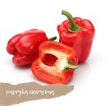 papryka czerwona hiszpania 1 kg świeża Warszawa