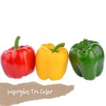 Papryka Tri Color - 3 szt.