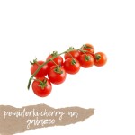 Pomidorki cherry na gałązce 100g