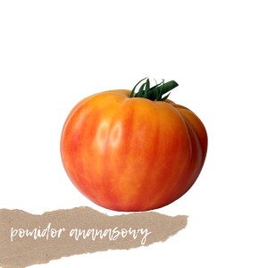 Pomidor ananasowy 1kg