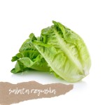 Sałata rzymska (mini) - 2 szt.