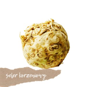 Seler korzeniowy 1 szt.