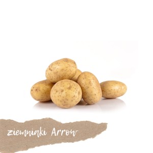 Ziemniaki młode odmiana ARROW 1kg 