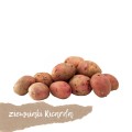 ziemniaki Ricarda.jpg
