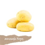 Ziemniaki odmiana NOYA 1kg  