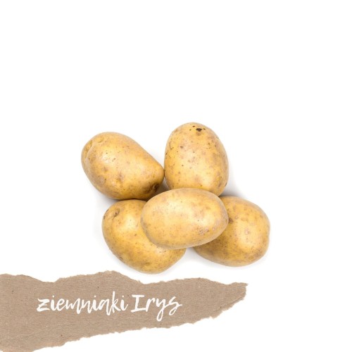 ziemniaki irys 1 kg świeże Warszawa