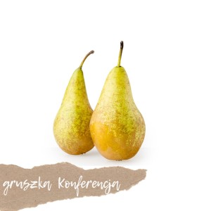 Gruszka Konferencja 4 szt.