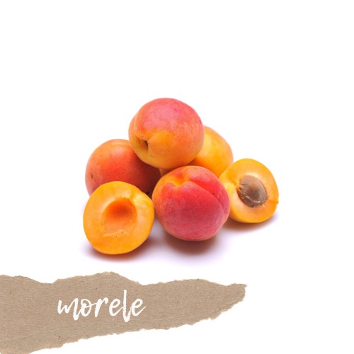 morele