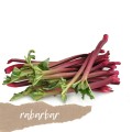 rabarbar