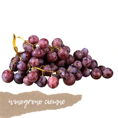 winogrono ciemne