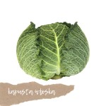 Kapusta włoska 1 szt.