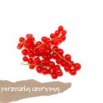 Porzeczka czerwona 250g   