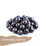 Porzeczka czarna 200g    