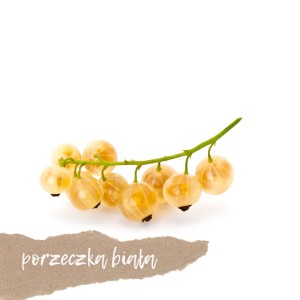 Porzeczka biała 500g    