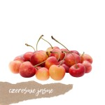 Czereśnie jasne 500g   