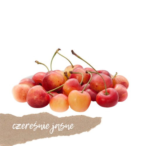 czereśnie jasne