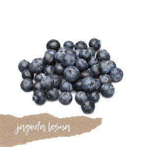 Jagoda leśna 100g