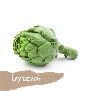 Karczoch 1 szt. 