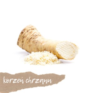 Chrzan korzeń 1-2 szt.