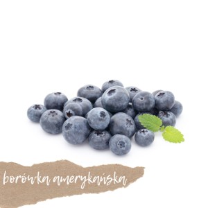 Borówka amerykańska 125g
